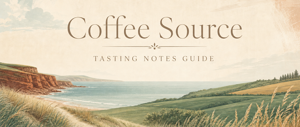 Coffee Sourcing Guide: Origins, Roasts & Tasting Notes